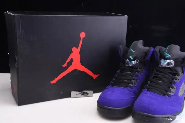 Kicktheory Retro Grape 5 136027-500 Alternate Air Jordan 0618